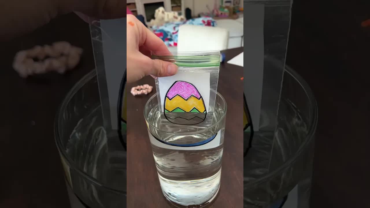 Light Refraction Egg Experiment