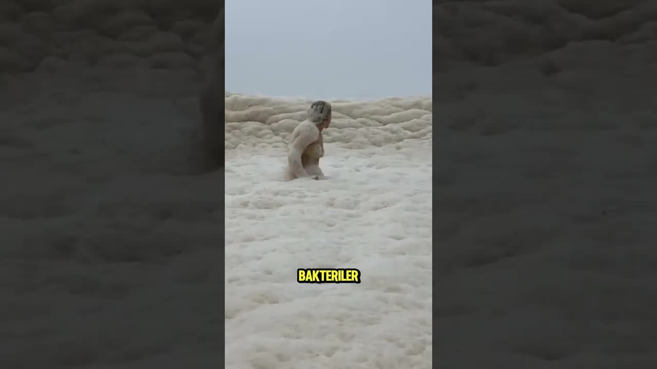 Sahildeki Beyaz Köpüklere Dokunmayın!