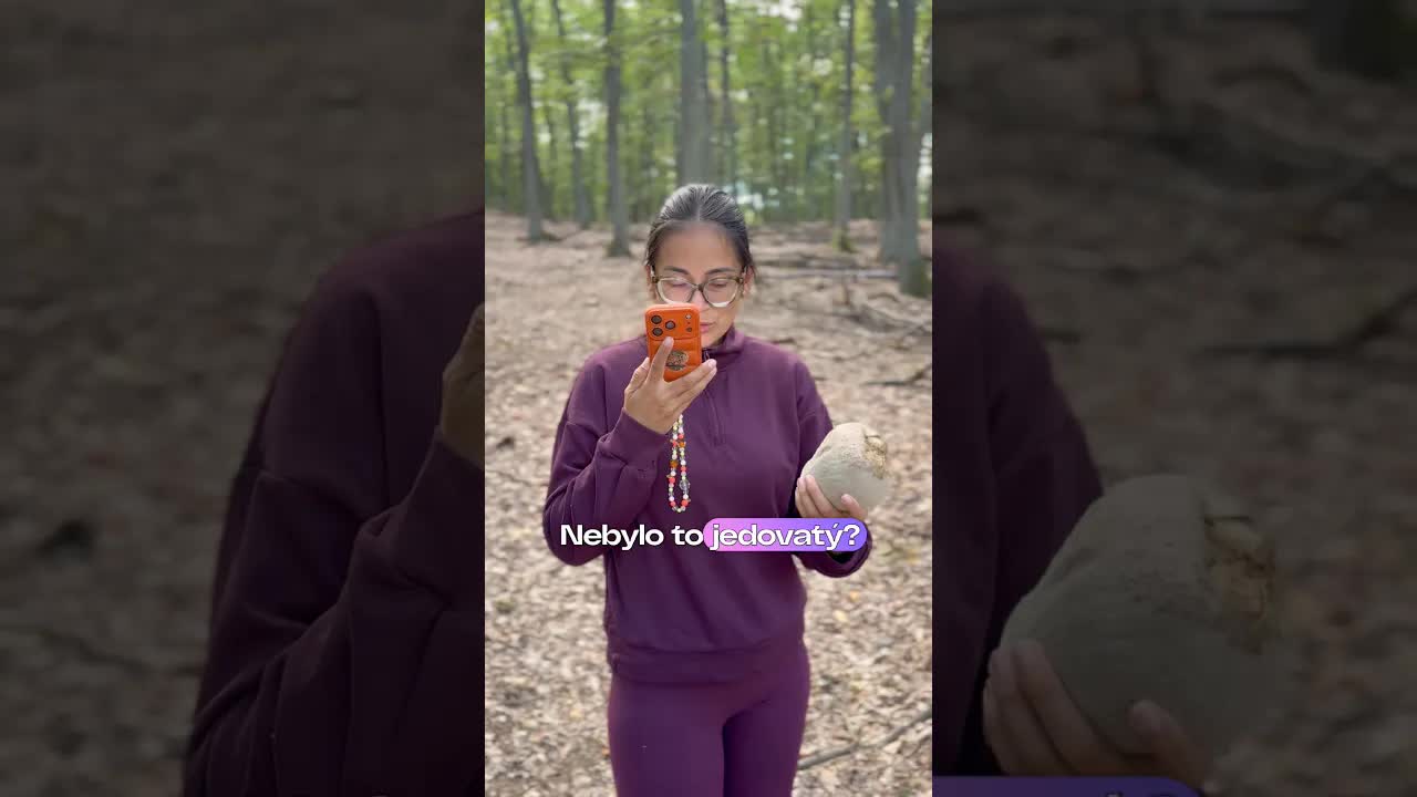 Jedlá nebo jedovatá houba?