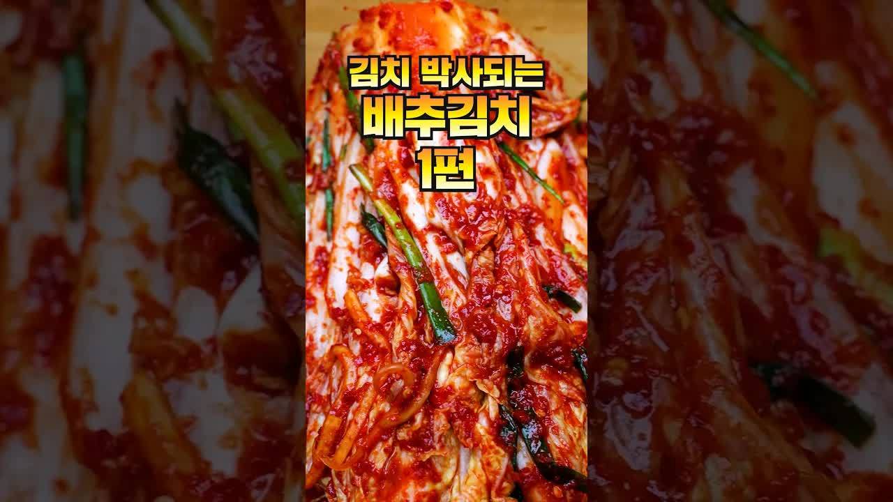 여름 배추 김치 만드는 법 완벽 가이드