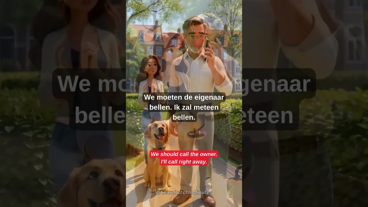 Een verloren hond in het park gevonden