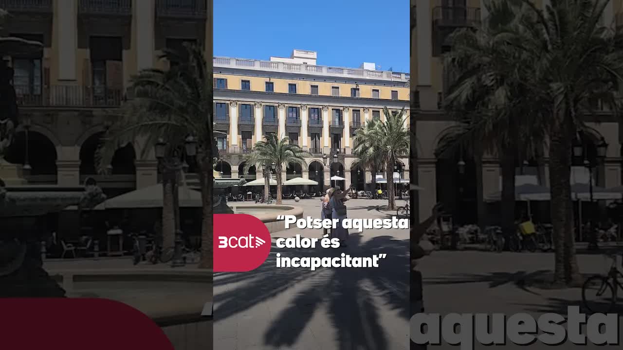 El trastorn climàtic d'un estiu brutal