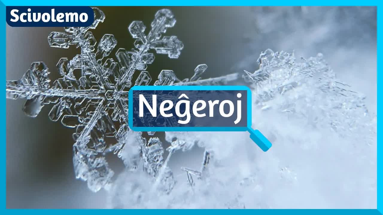 Kiel unikaj estas neĝeroj