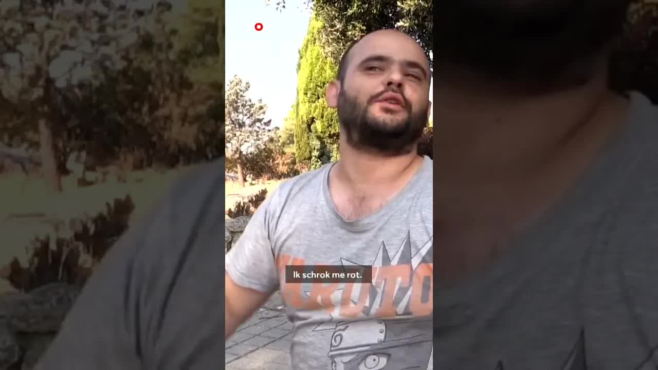 Bosbranden in Frankrijk en Spanje