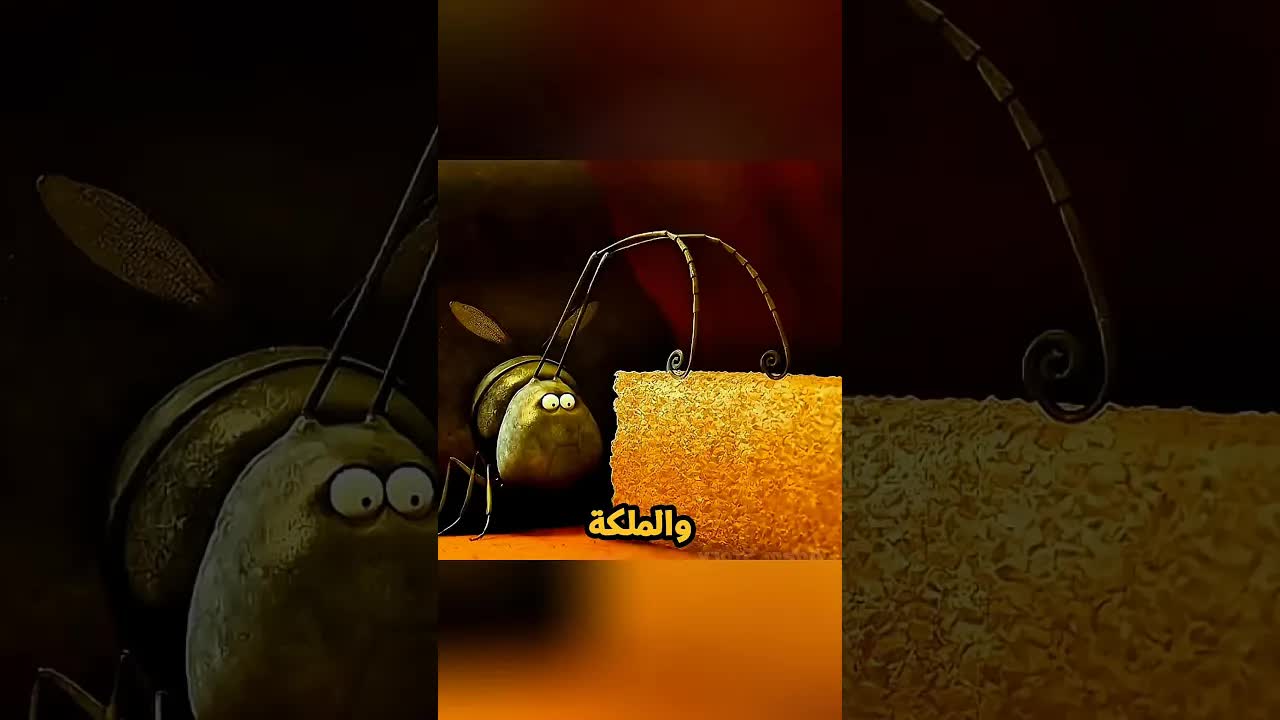 حرب النمل الأسود ضد الأحمر