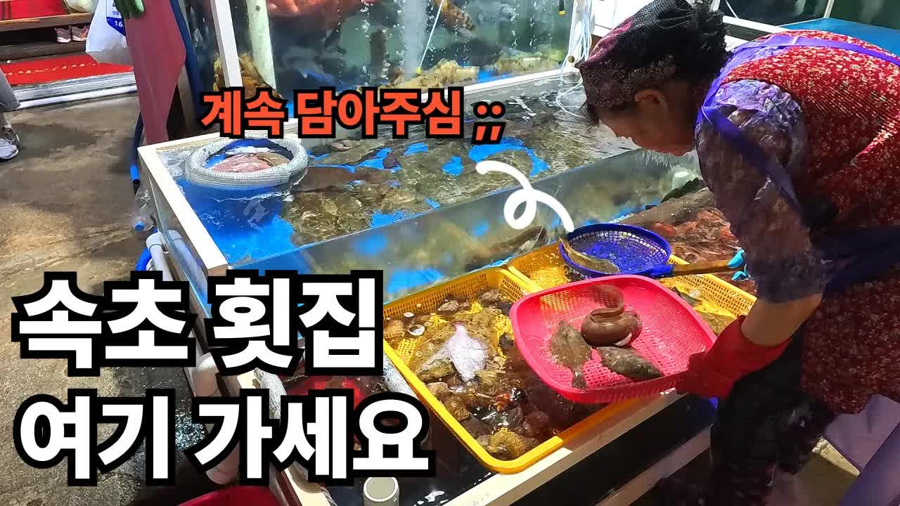 속초 횟집 추천 및 바가지 안 당하는 꿀팁