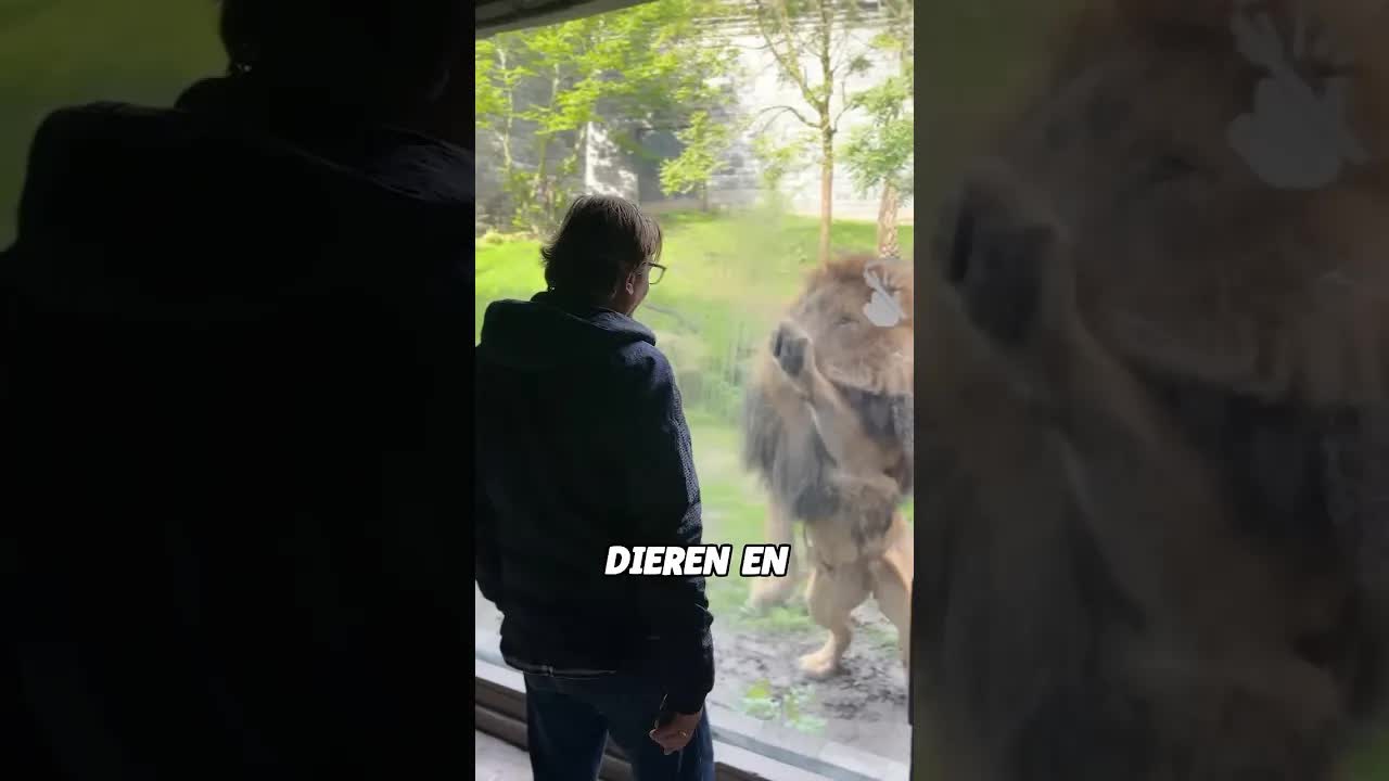 Bezoek aan de mooiste dierentuin van Europa