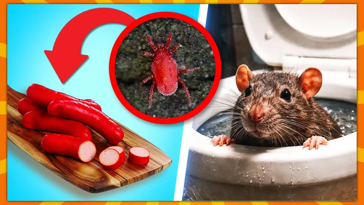 8 Creepy Myter Der Faktisk Er Sande!