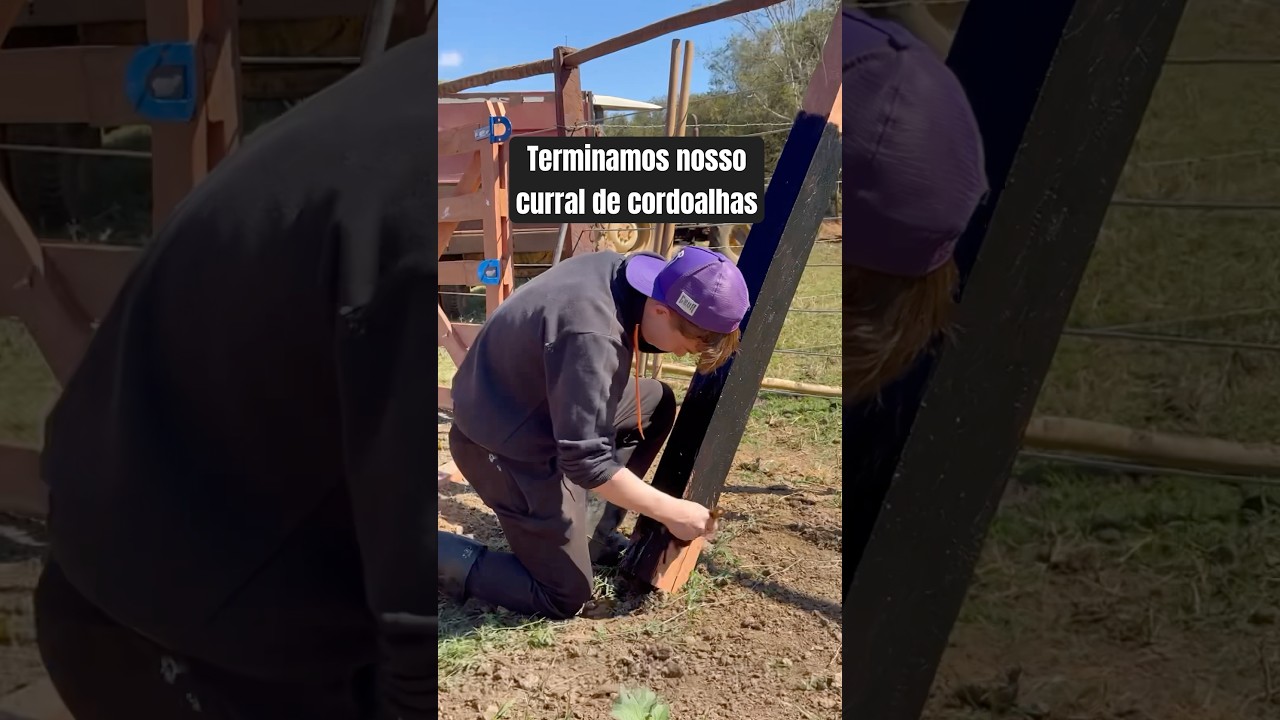Finalizando o curral novo no sítio