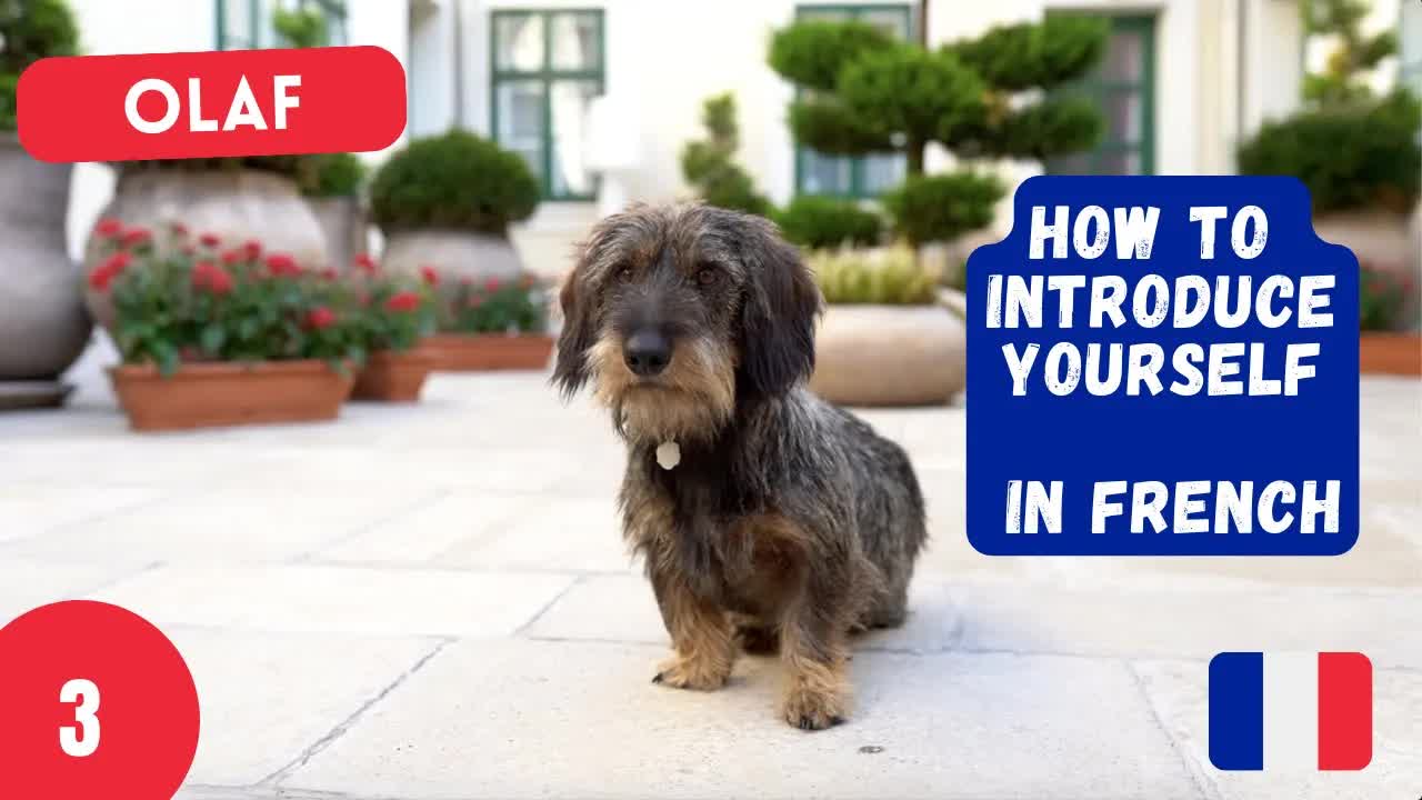 Je suis Olaf, un chien pour apprendre le français