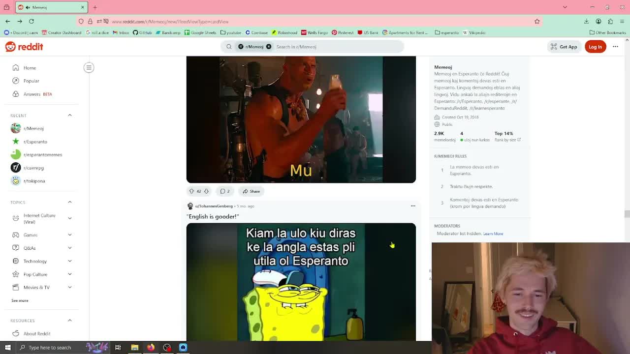 Memeoj en Esperanto: Humuro kaj Gramatiko