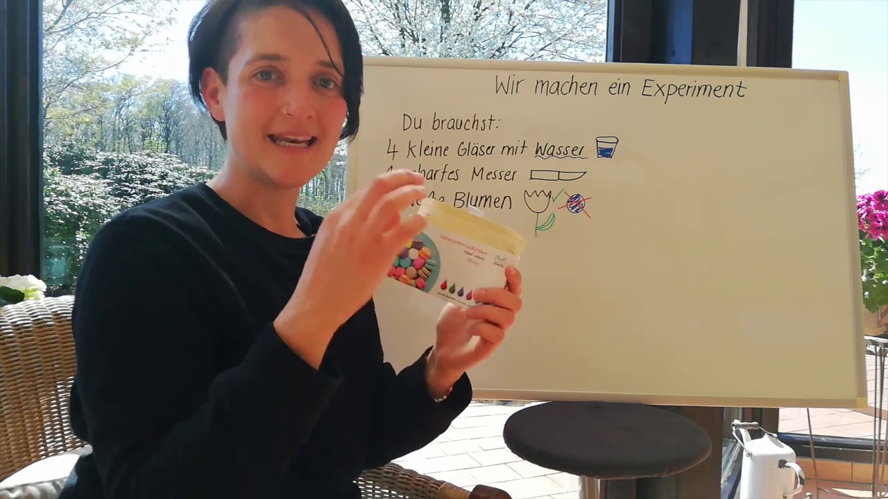 Blumen-Farbexperiment für Anfänger