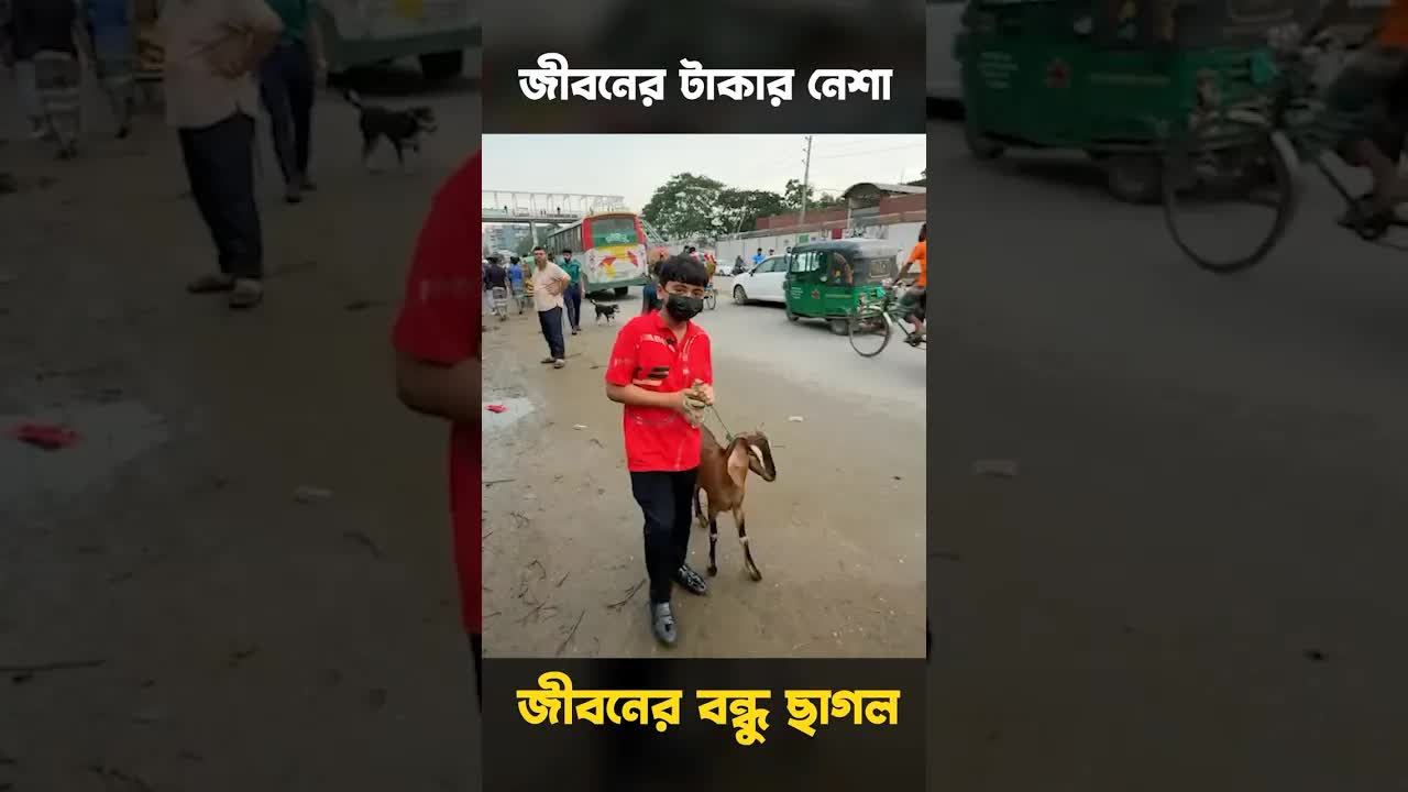 অবশেষে ছাগল নিয়ে এলাম