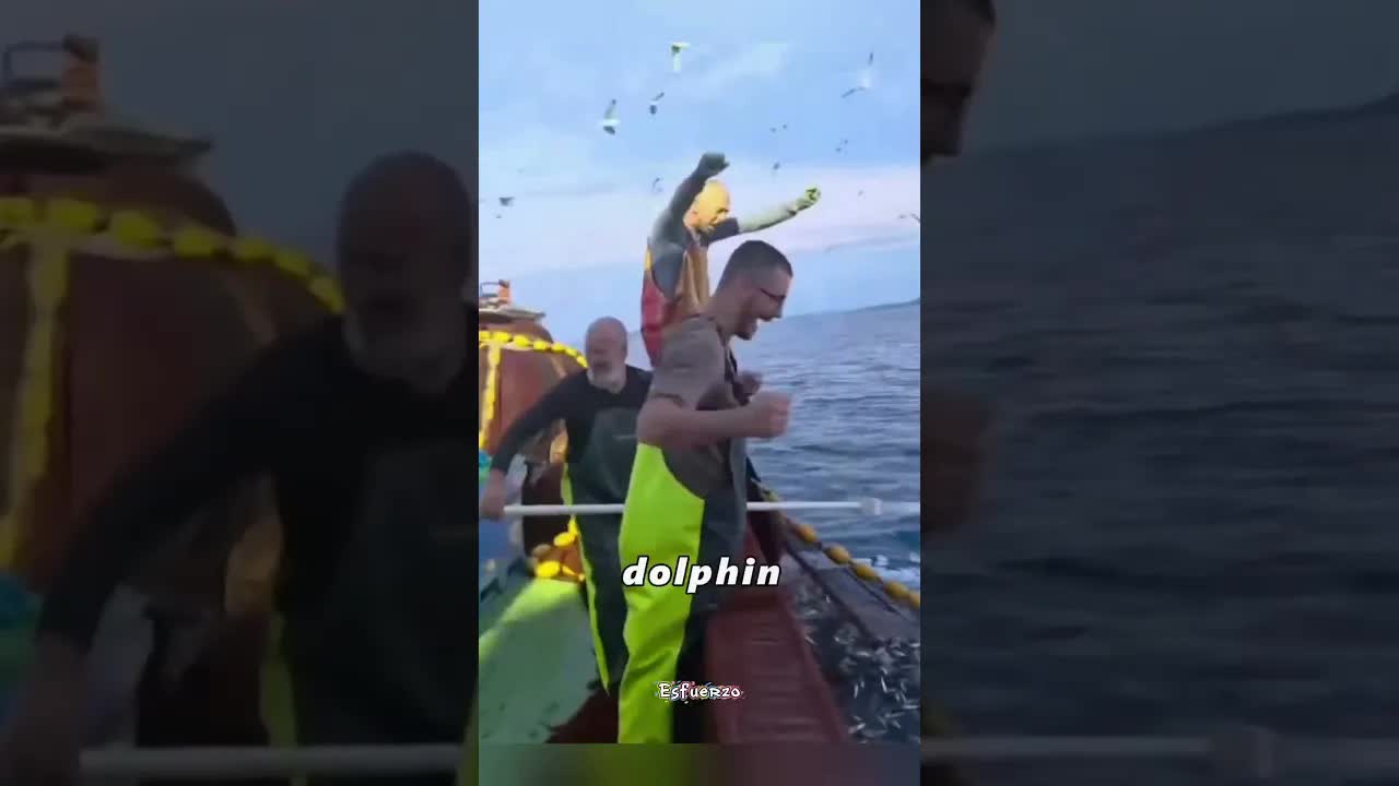 El delfín que agradeció su rescate