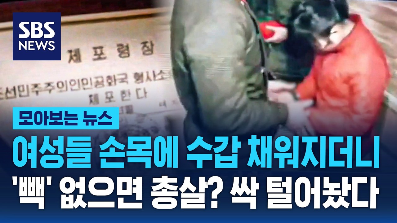 북한, 한국 문화 시청에 대한 엄격한 처벌 실태