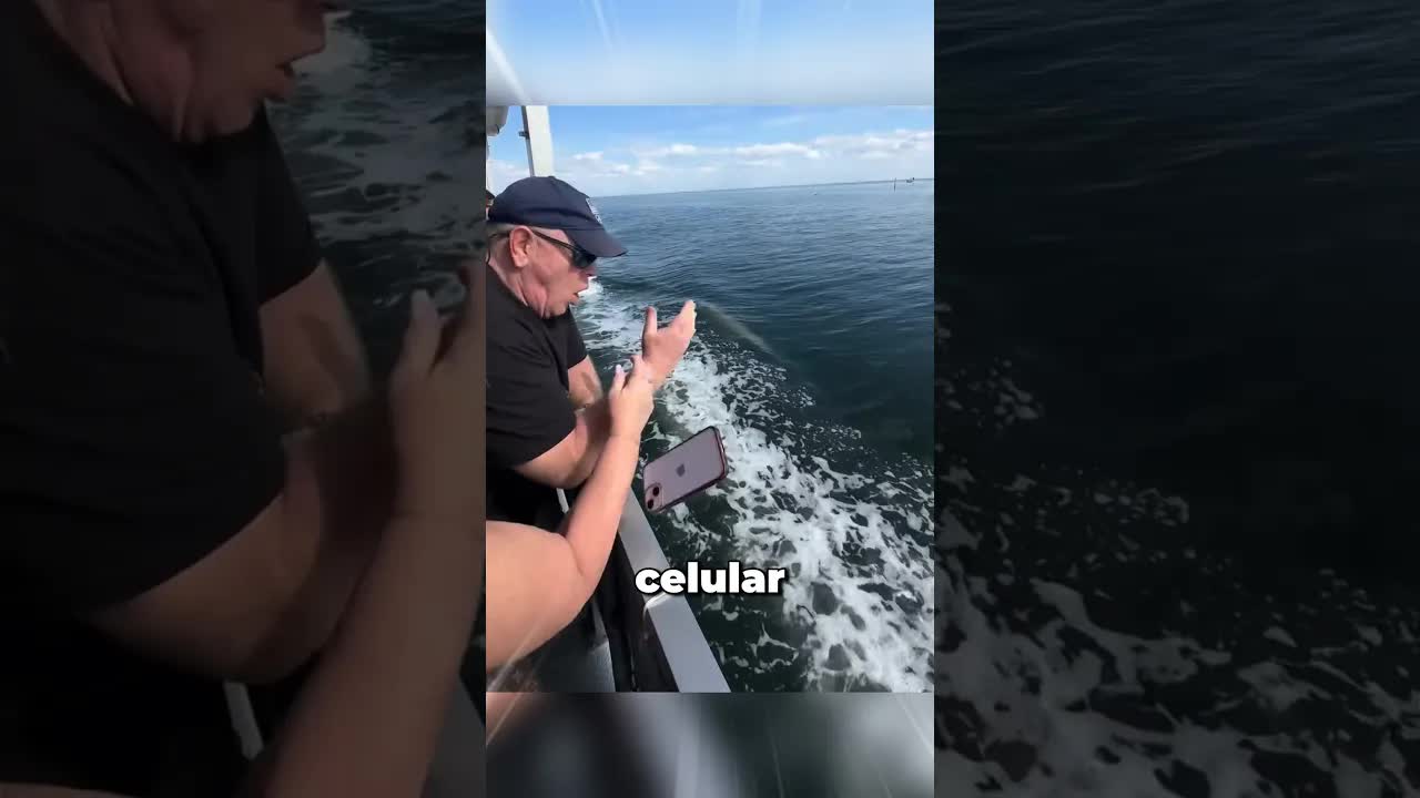 O que fazer se o celular cair na água