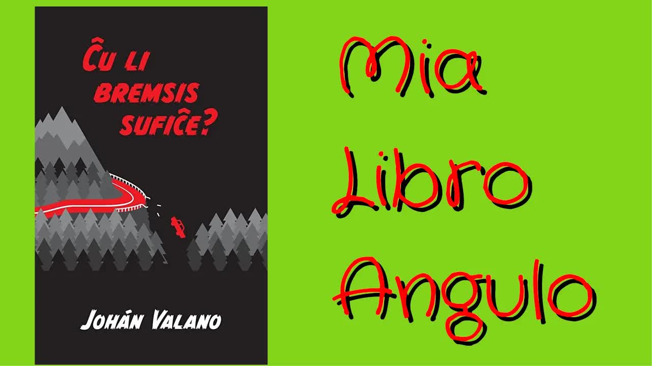 Recenzo de la libro „Ĉu li bremsis sufiĉe“