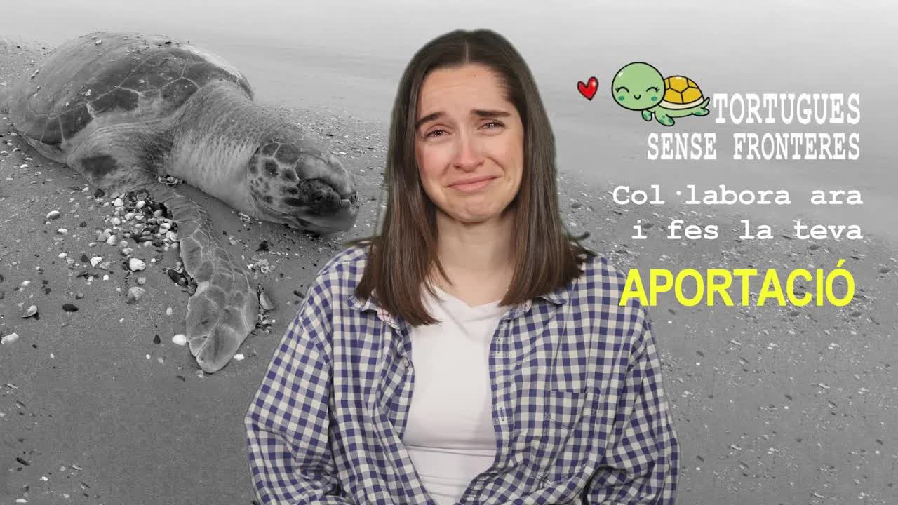 Campanya solidària de tortugues en català