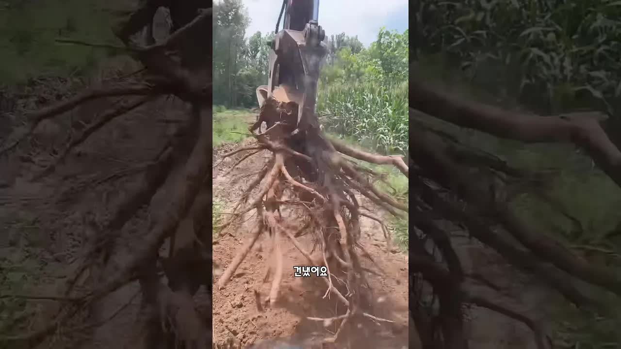 굴착기 기사, 할아버지 돕기 나서
