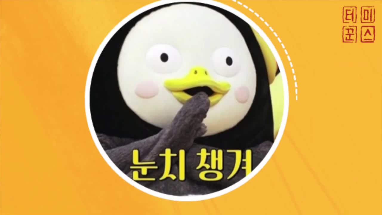미스터쿤의 펭수 3분 요약