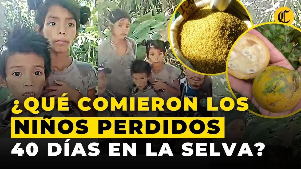 Qué comieron los niños para sobrevivir 40 días en la selva