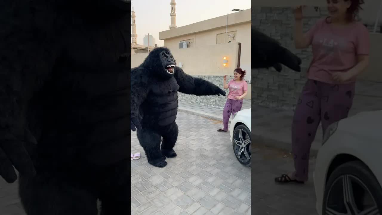 تجربة القرد الأكبر في العالم