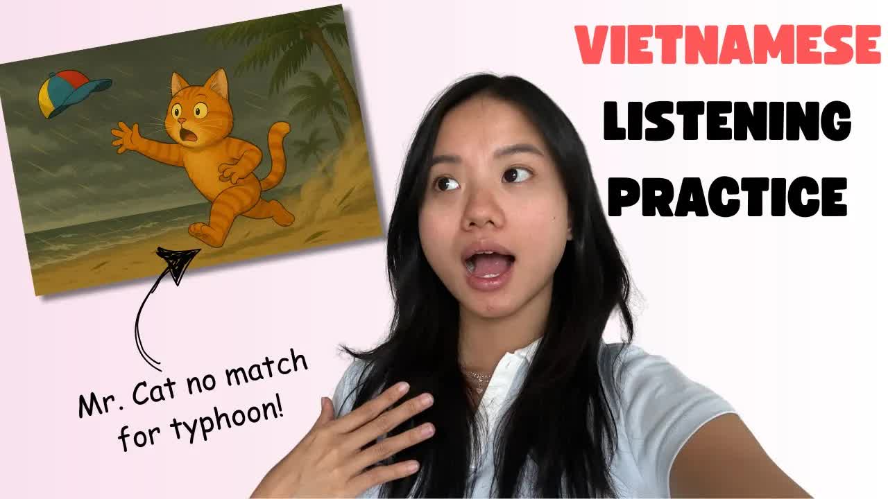 Mr. Cat Mất Nón Trong Bão Ở Đà Nẵng