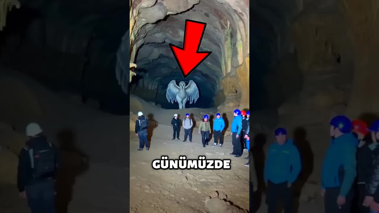 Günümüzde Hâlâ Yaşayan En Eski 5 Hayvan