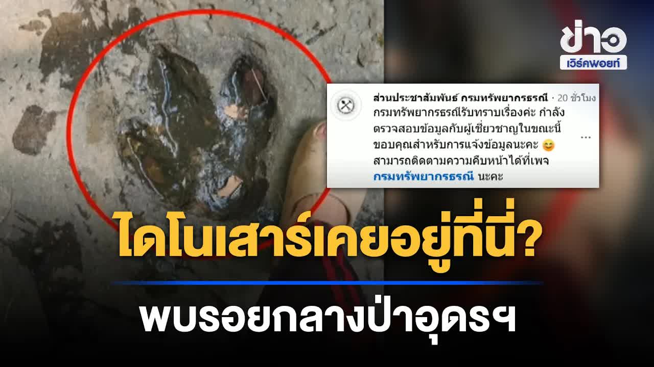 รอยปริศนาคล้ายตีนไดโนเสาร์ที่อุดรธานี