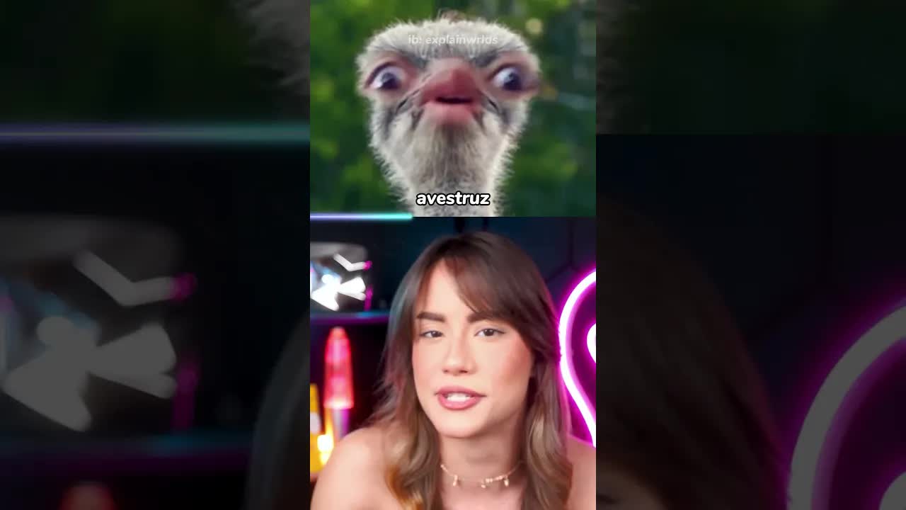 Como os animais ficariam sem pescoço?