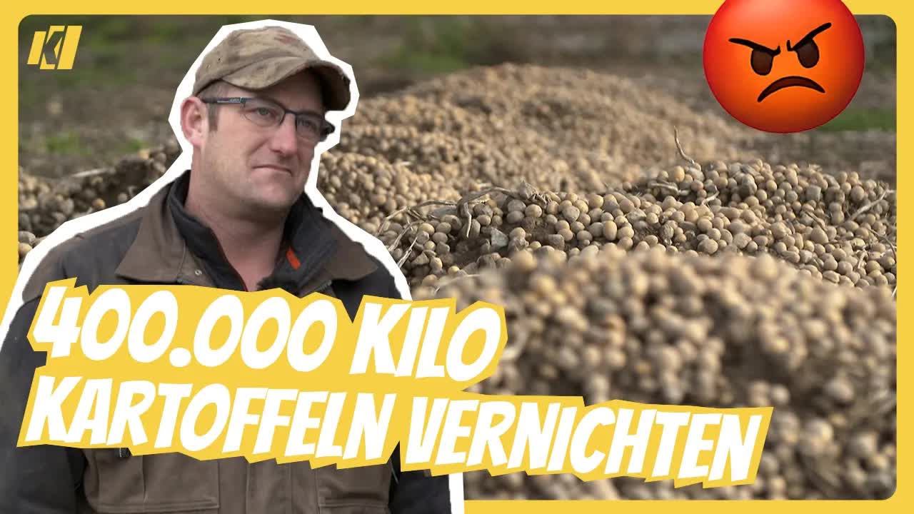 Bauer wirft 400 Tonnen Kartoffeln weg