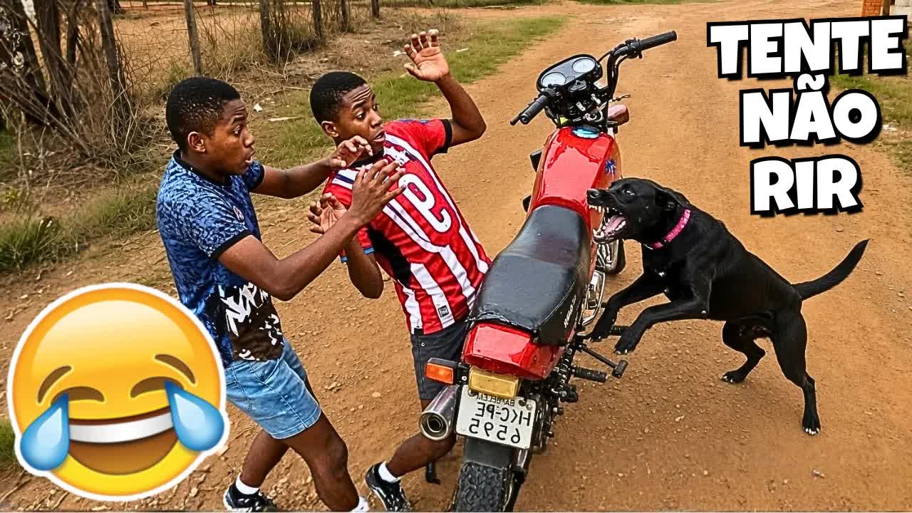 Vídeos engraçados que bombaram nas redes