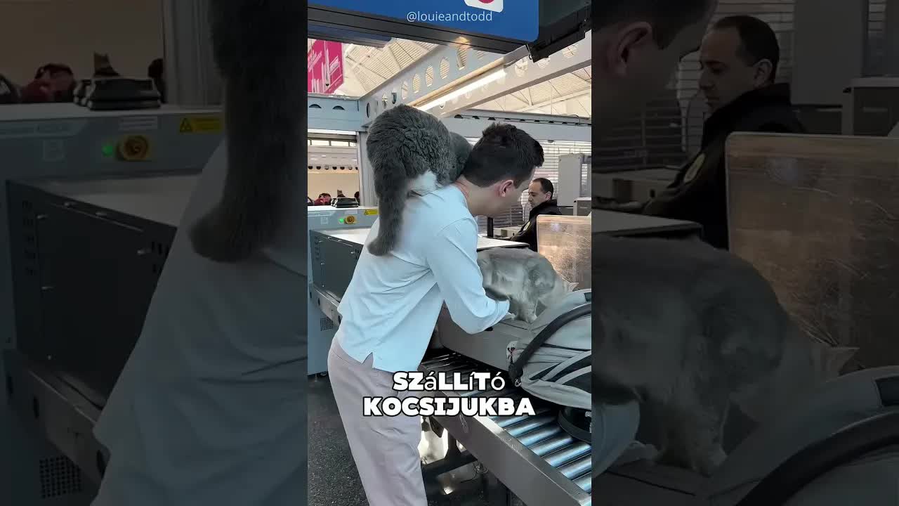 Ez a férfi repülőre vitte a macskáit
