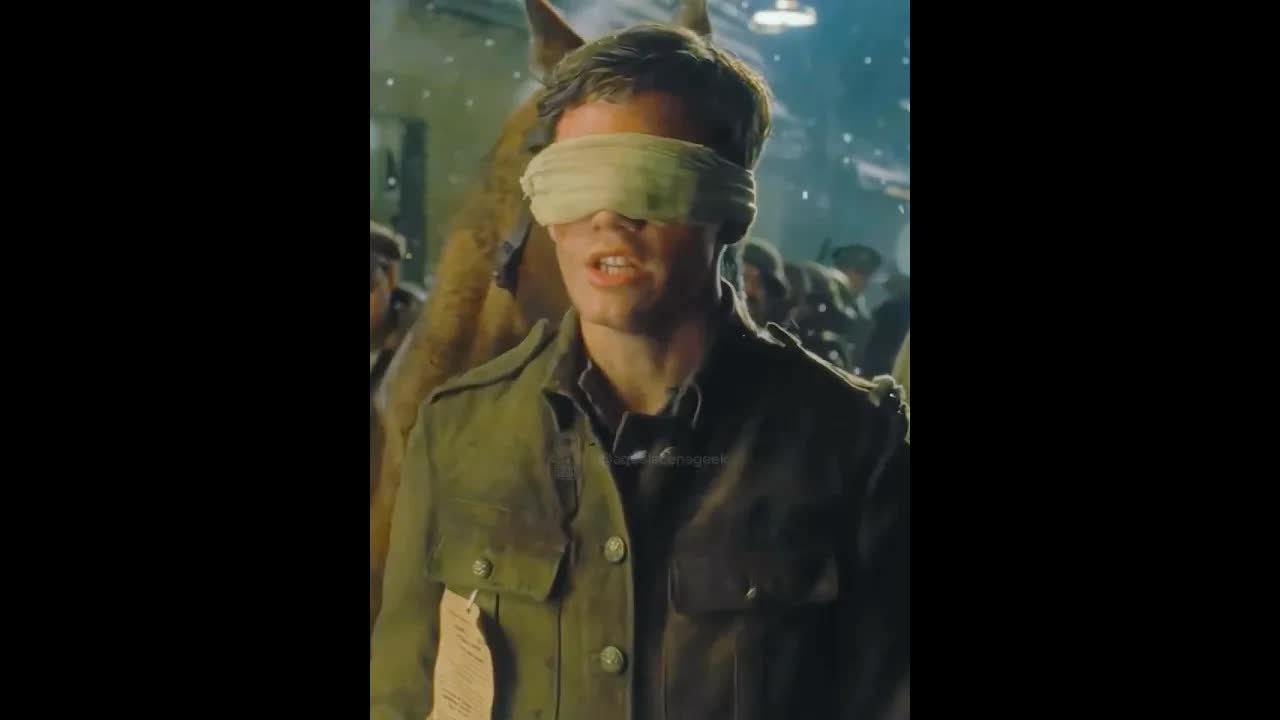 O cavalo que não era qualquer um