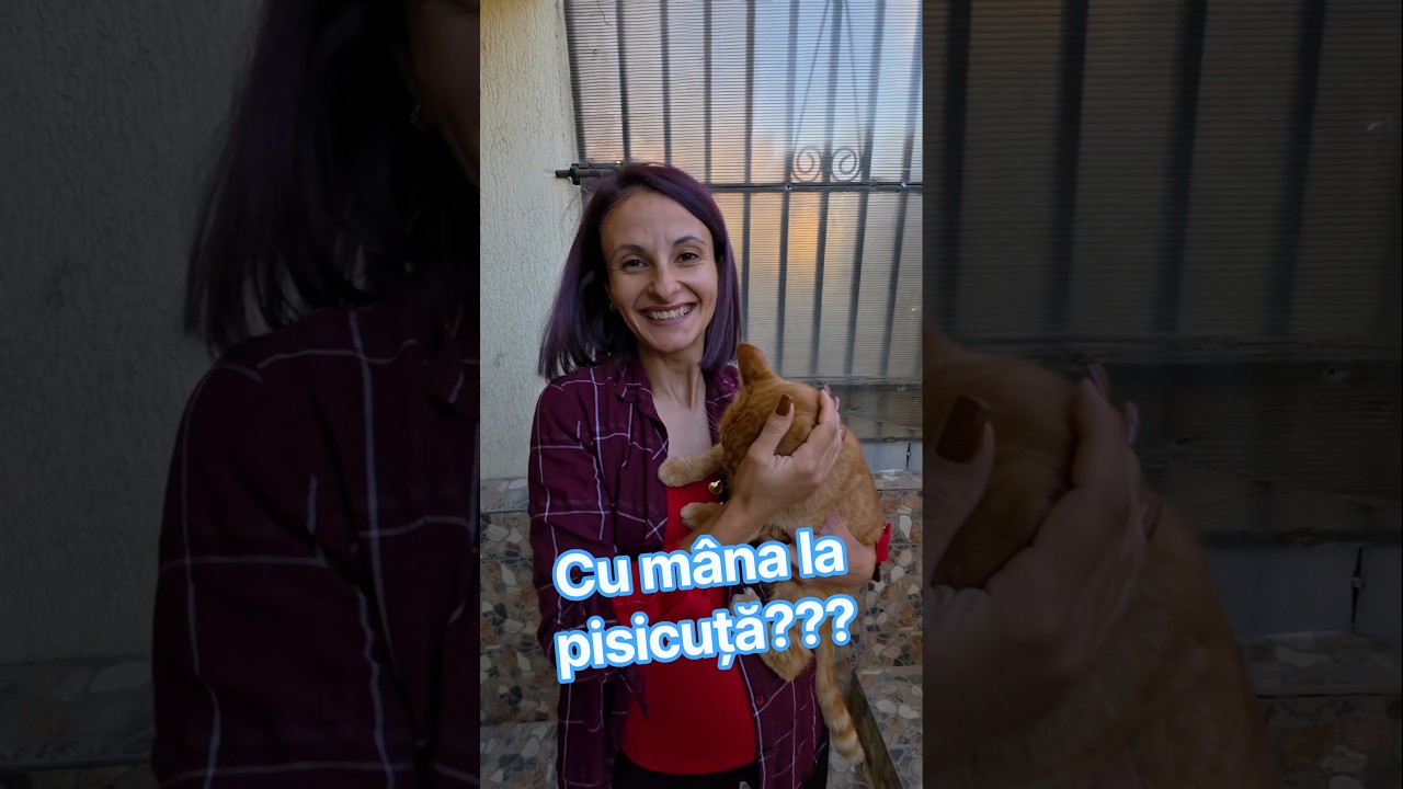 Am atins pisica greșită! Glumă amuzantă