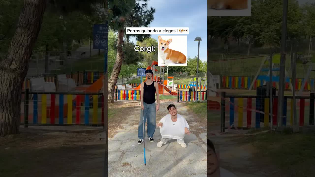 Perro guiando a su dueño para cruzar la calle