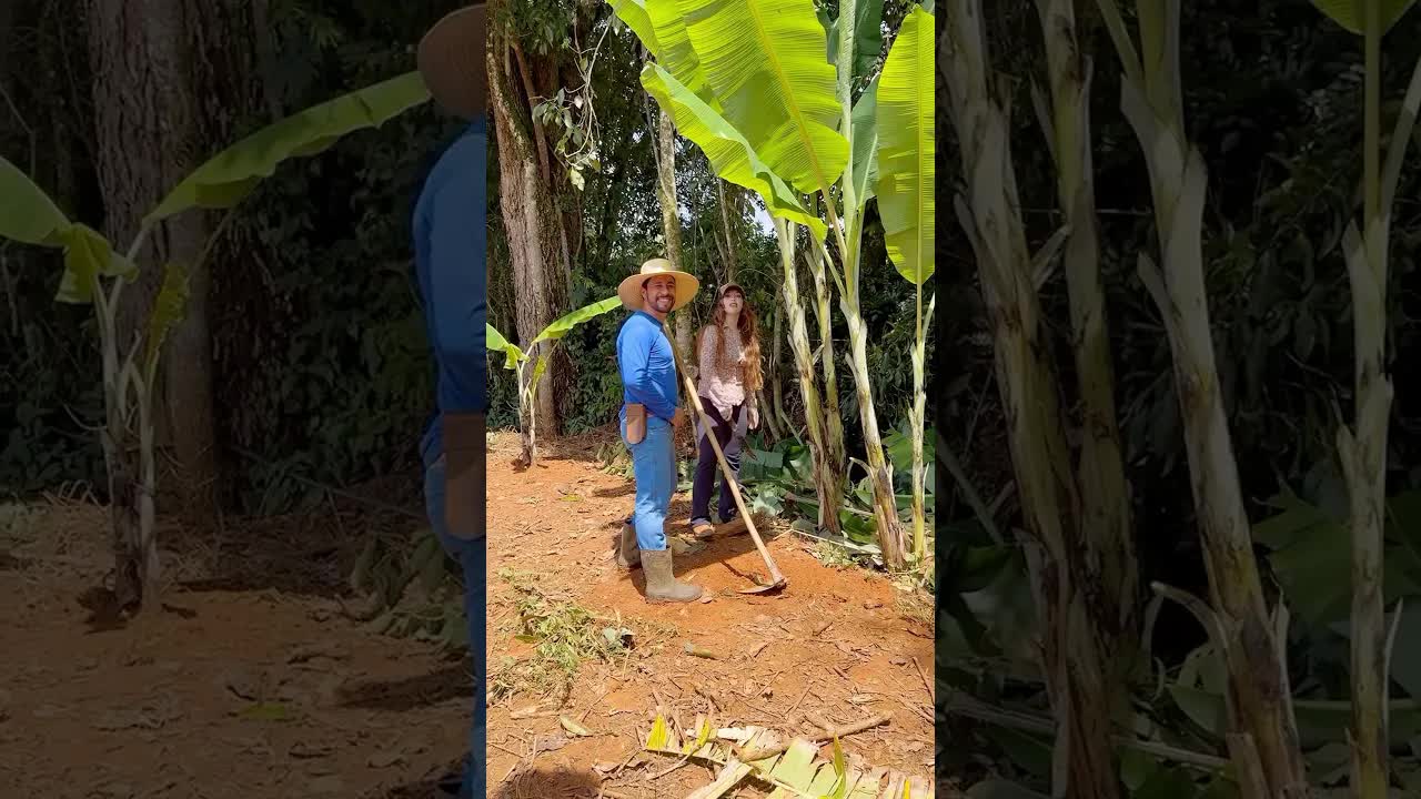 Coral verdadeira ou falsa? Biólogo explica