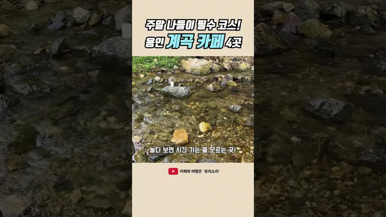용인 계곡 근처 추천 카페 4곳