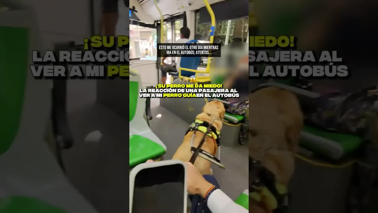Reacción ante un perro guía en el autobús