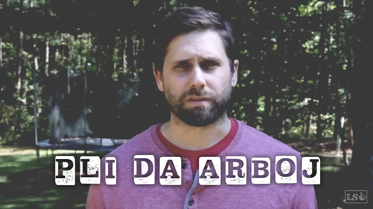 Arboj en la malantaŭa korto