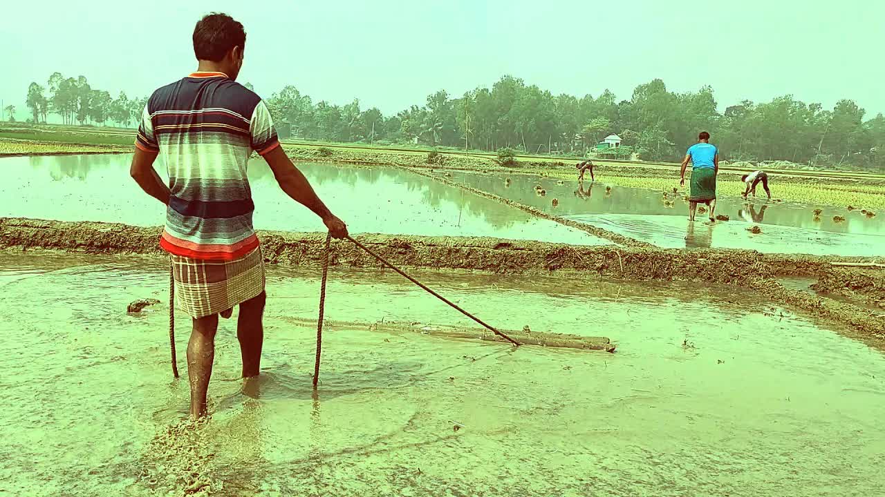 বাংলাদেশের গ্রামের দৈনন্দিন জীবন