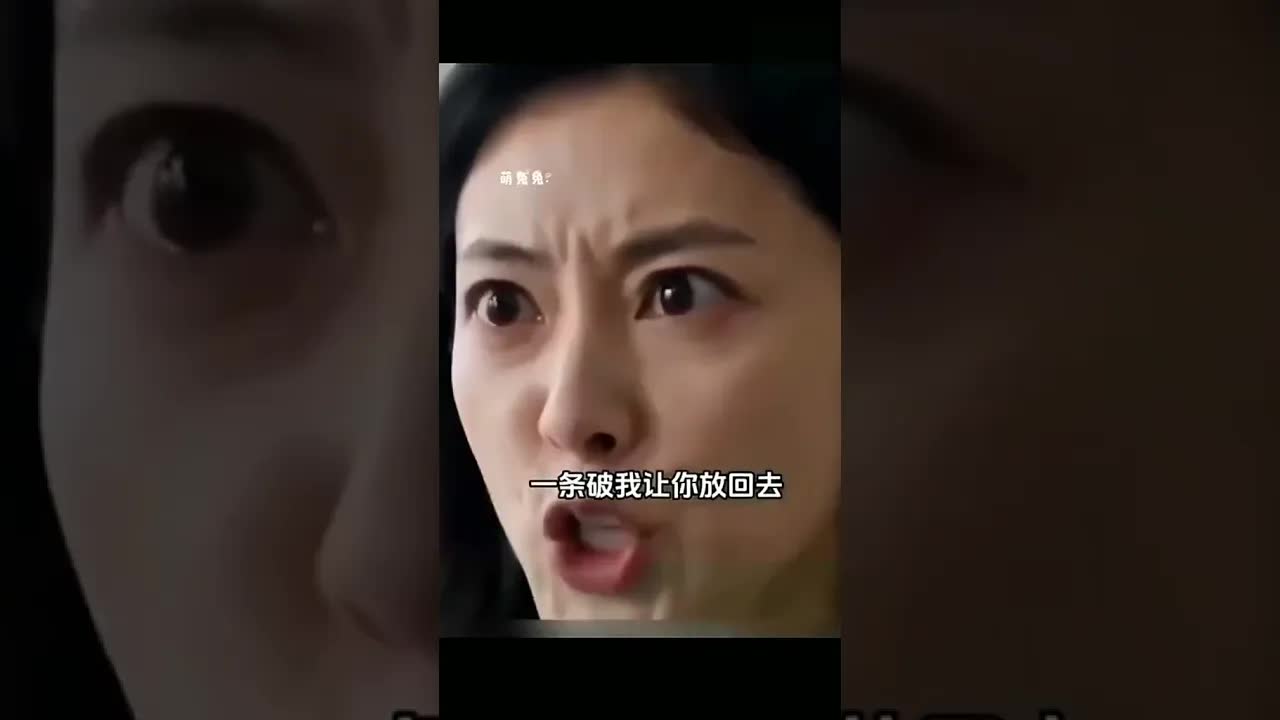 离婚风波与一条灰色围巾