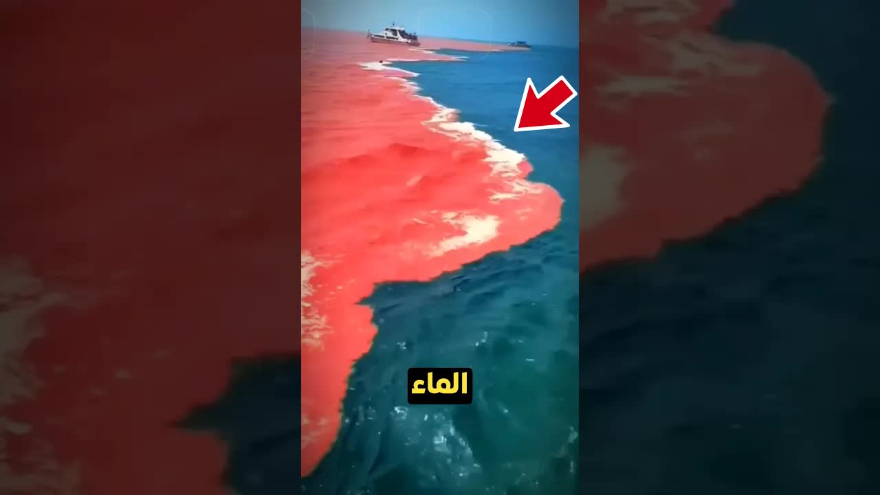 إذا رأيت الماء أحمرًا فلا تسبح فيه