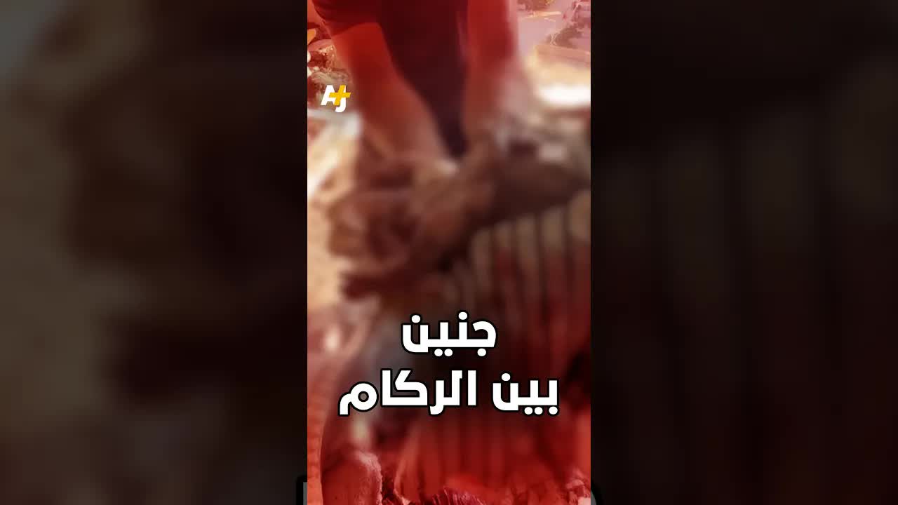 جنين بين الركام في غزة