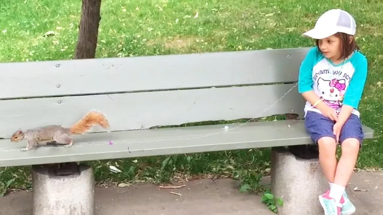 Removing a Wobbly Tooth With a Squirrel