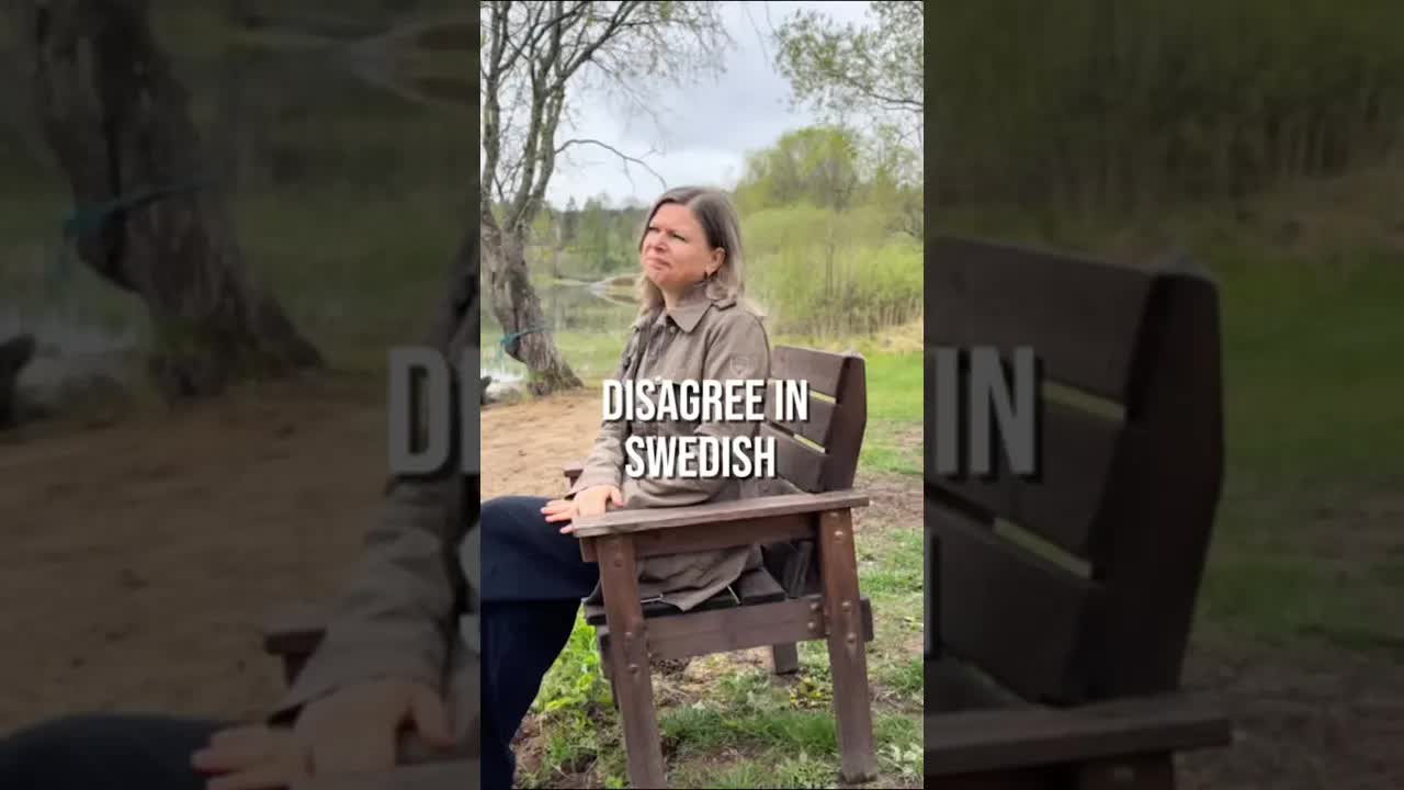 Fraser för att säga emot på svenska
