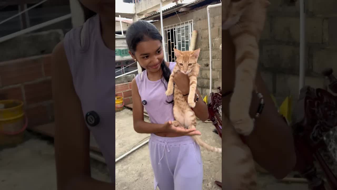 La reacción de mi papá cuando el gato lo acaricia
