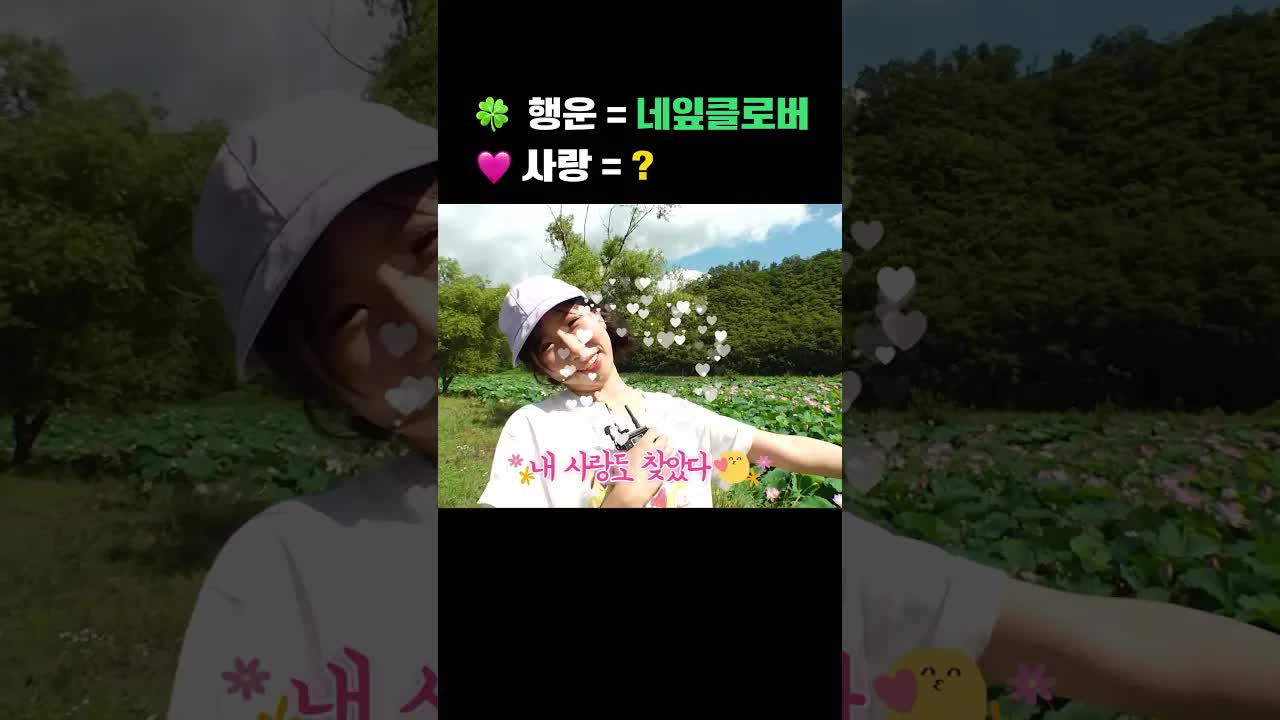 하트 모양 연잎으로 사랑을 찾아요