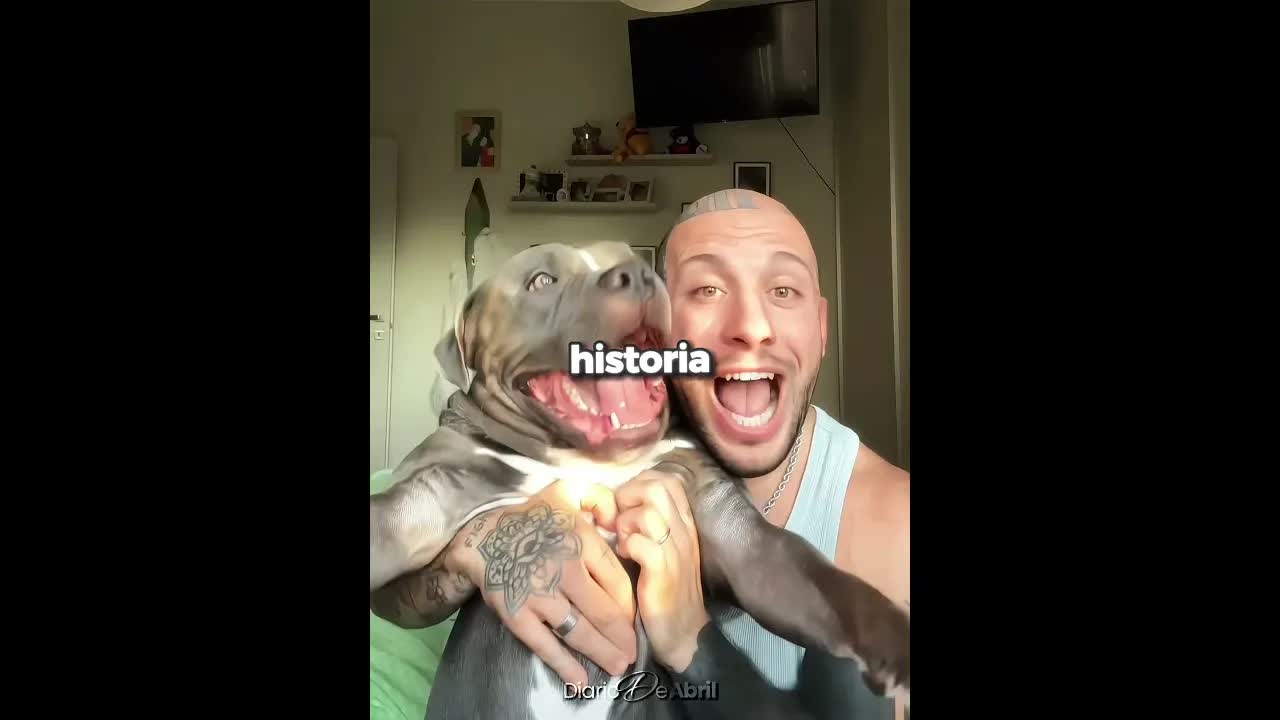 El pitbull que protege a una niña