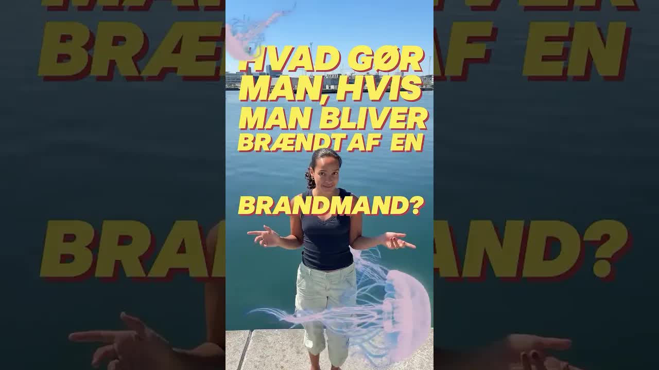 Sådan gør du ved brandmandsstik